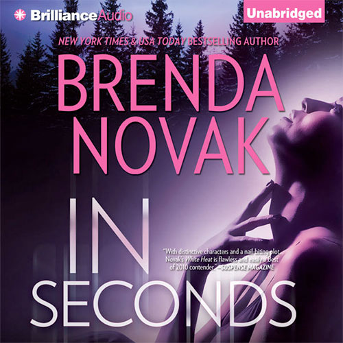 In Seconds Audio Cover Art