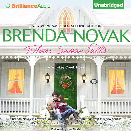 When Snow Falls Audio Cover Art