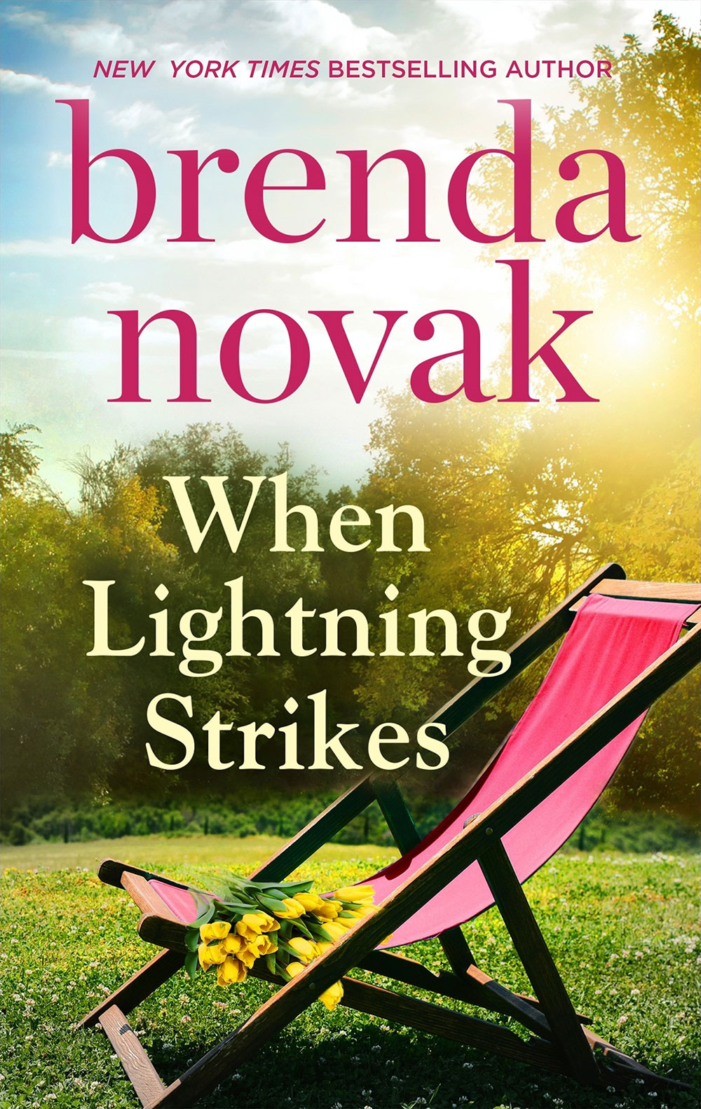 in seconds by brenda novak